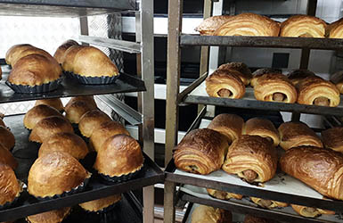 Vers brood 3