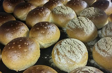 Vers brood 4