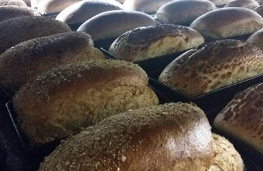 Vers brood 5